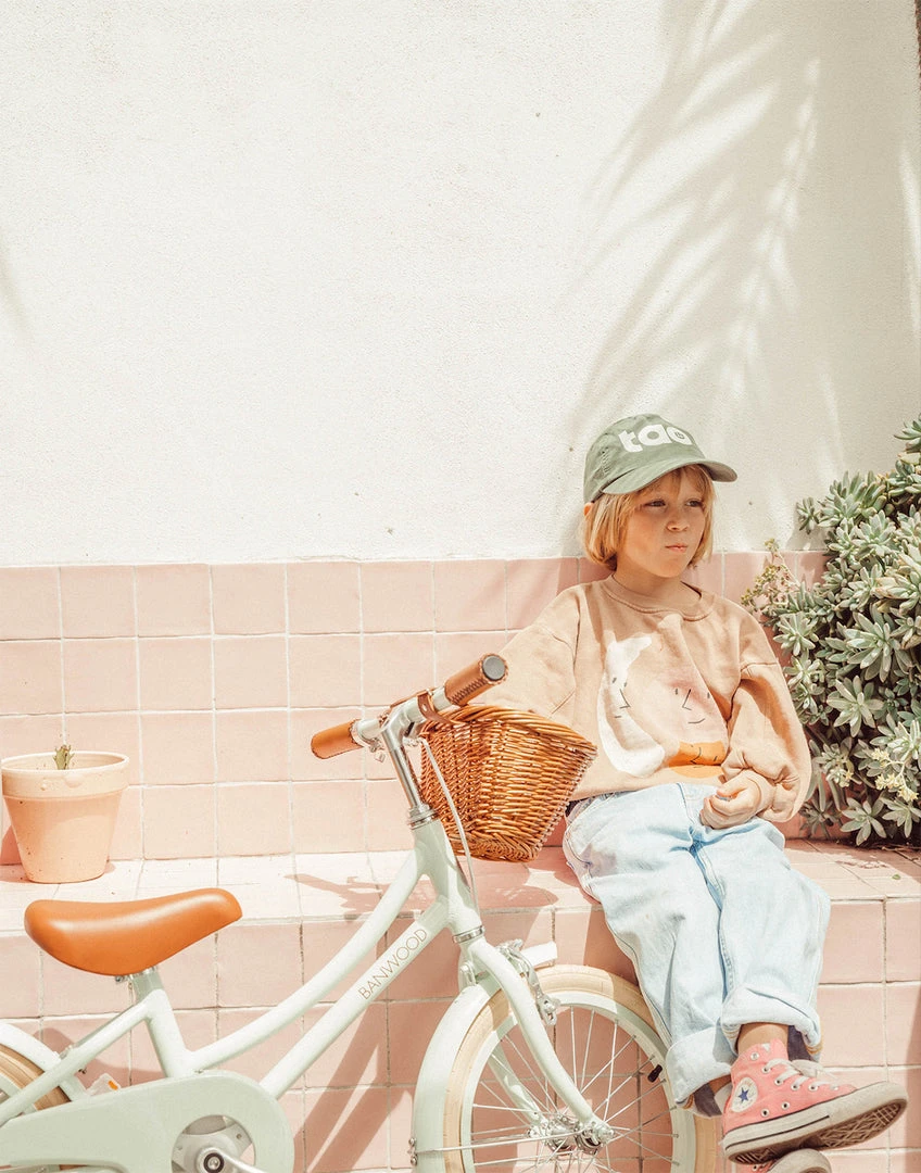 Banwood Classic Pedal Bicycle - Mint Bikes & Trikes 4 Banwood Classic Pedal Bicycle - Mint Bikes & Trikes