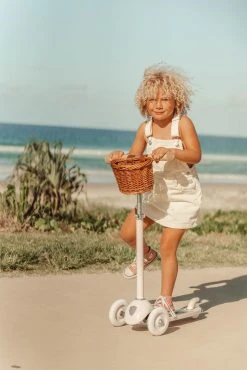 Banwood Scooter - Pink Bikes & Trikes