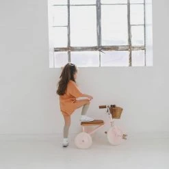 Banwood Trike - Pink