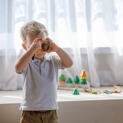 Sale Plan Toys - My First Camera Orchard Series