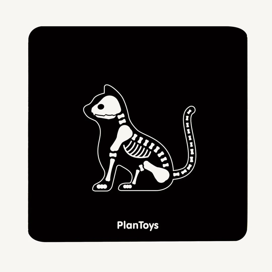 Plan Toys - Vet Set 7 Plan Toys - Vet Set
