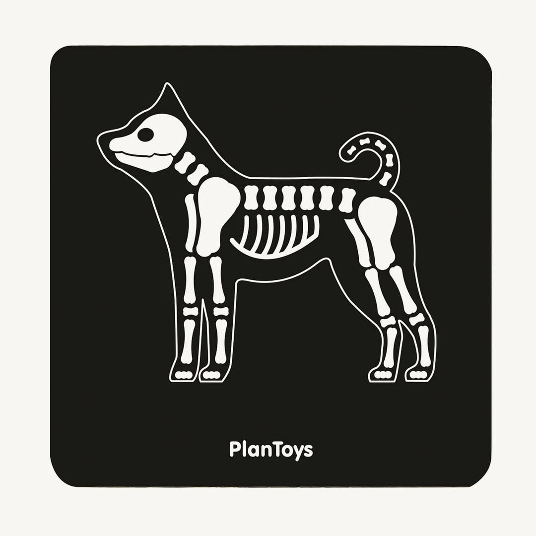 Plan Toys - Vet Set 6 Plan Toys - Vet Set